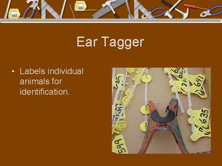 Ear Tagger • Labels individual animals for identification. 
