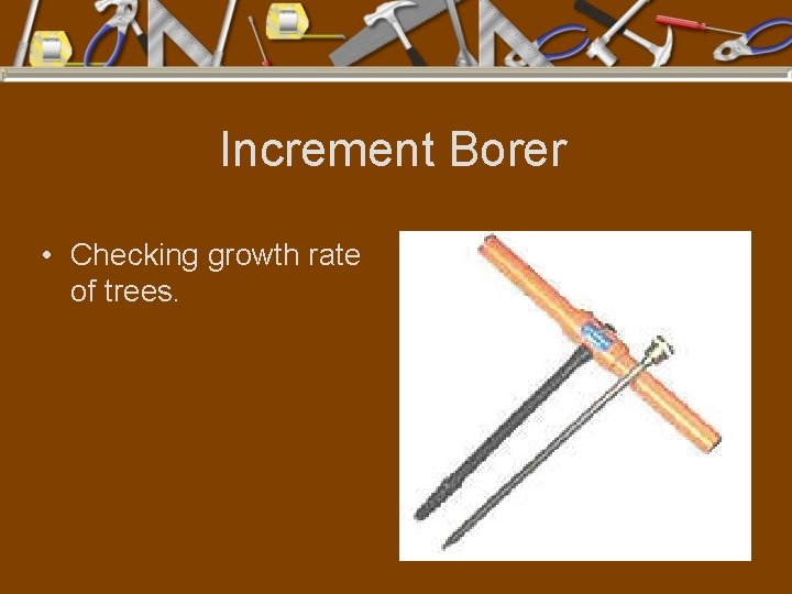 Increment Borer • Checking growth rate of trees. 