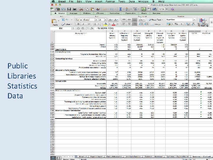 Public Libraries Statistics Data 