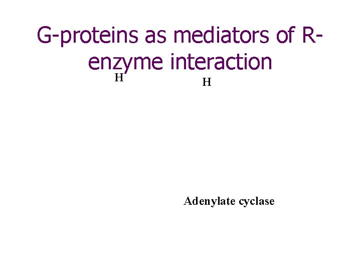 G-proteins as mediators of Renzyme interaction H H Adenylate cyclase 