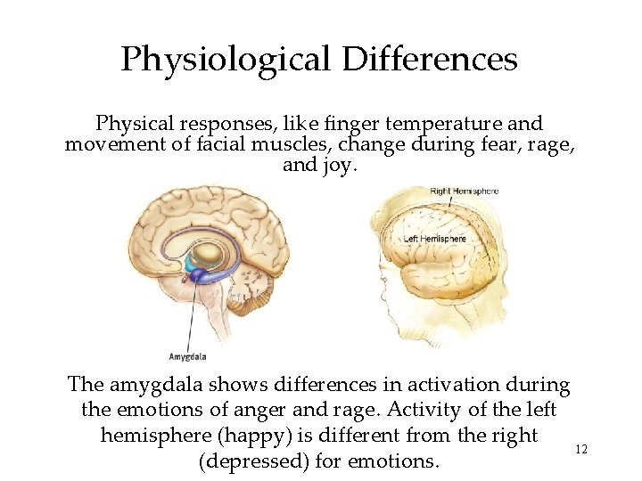 Physiological Differences Physical responses, like finger temperature and movement of facial muscles, change during