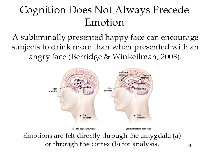 Cognition Does Not Always Precede Emotion A subliminally presented happy face can encourage subjects