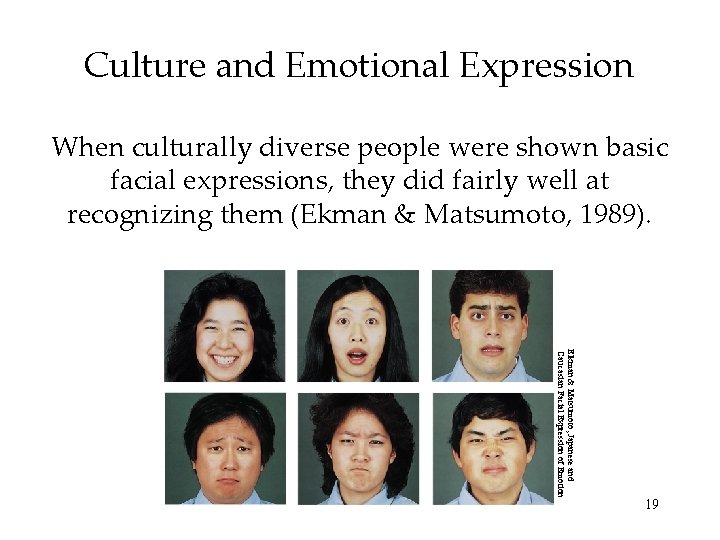 Culture and Emotional Expression When culturally diverse people were shown basic facial expressions, they