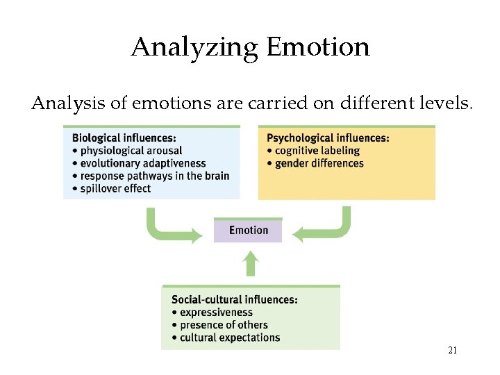 Analyzing Emotion Analysis of emotions are carried on different levels. 21 