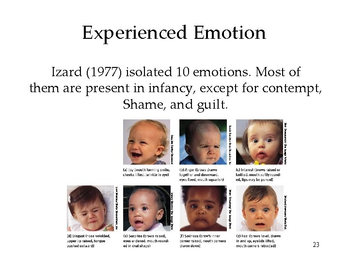 Experienced Emotion Izard (1977) isolated 10 emotions. Most of them are present in infancy,