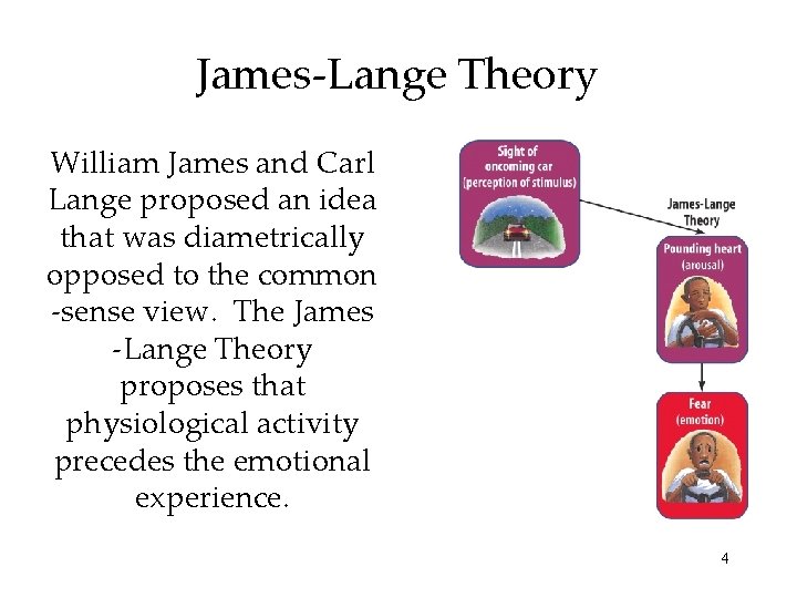 James-Lange Theory William James and Carl Lange proposed an idea that was diametrically opposed