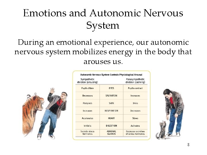 Emotions and Autonomic Nervous System During an emotional experience, our autonomic nervous system mobilizes