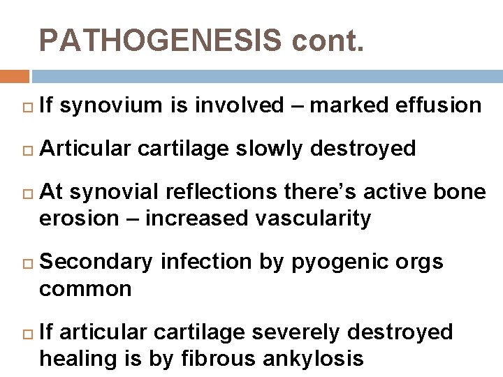PATHOGENESIS cont. If synovium is involved – marked effusion Articular cartilage slowly destroyed At