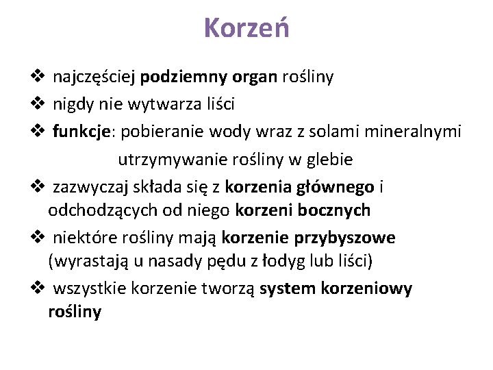 Korzeń v najczęściej podziemny organ rośliny v nigdy nie wytwarza liści v funkcje: pobieranie