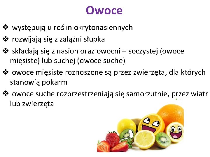 Owoce v występują u roślin okrytonasiennych v rozwijają się z zalążni słupka v składają