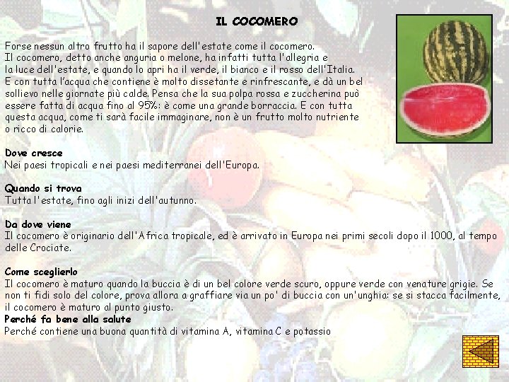 IL COCOMERO Forse nessun altro frutto ha il sapore dell'estate come il cocomero. Il