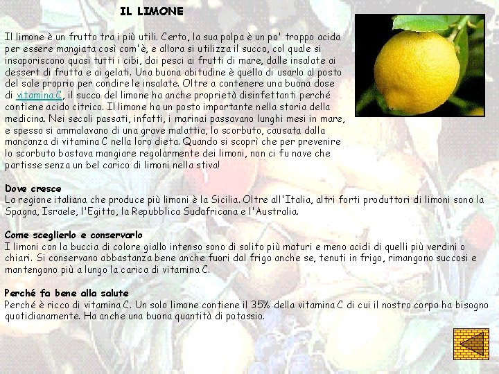 IL LIMONE Il limone è un frutto tra i più utili. Certo, la sua