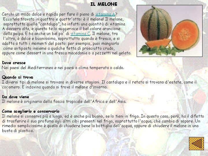 IL MELONE Cerchi un modo dolce e rapido per fare il pieno di vitamina