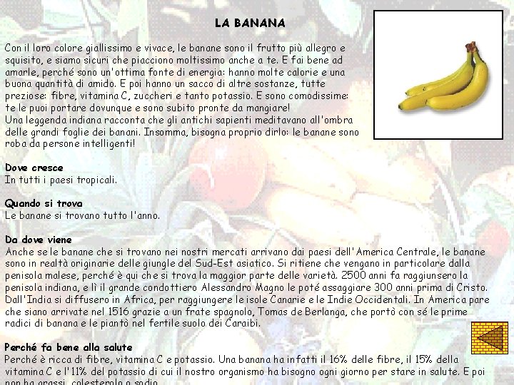 LA BANANA Con il loro colore giallissimo e vivace, le banane sono il frutto