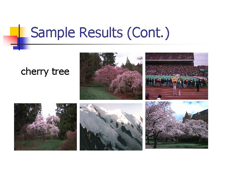 Sample Results (Cont. ) cherry tree 