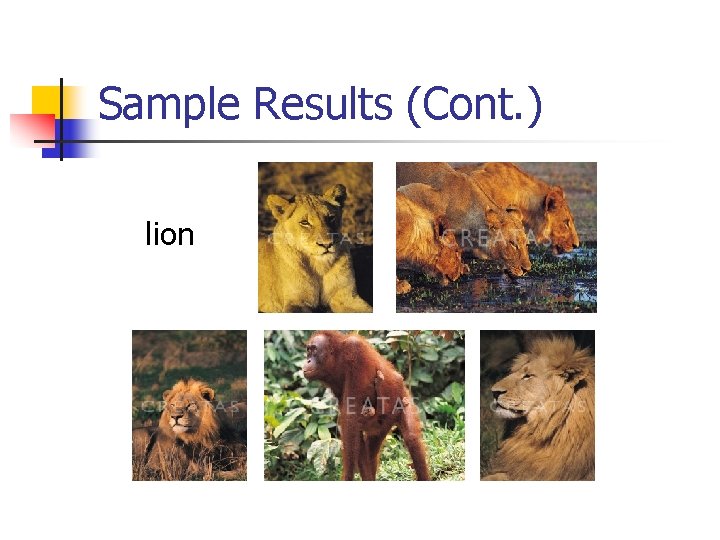 Sample Results (Cont. ) lion 