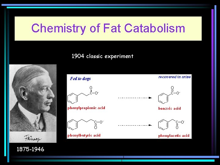 Chemistry of Fat Catabolism 1904 classic experiment Fed to dogs 1875 -1946 