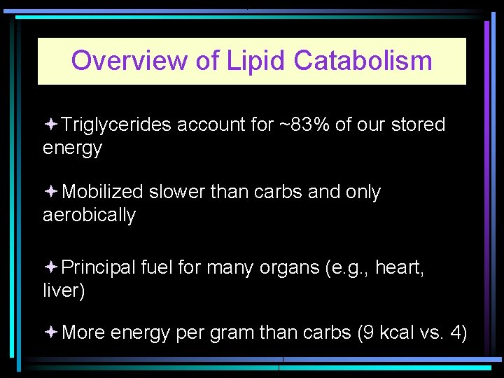 Overview of Lipid Catabolism Triglycerides account for ~83% of our stored energy Mobilized slower