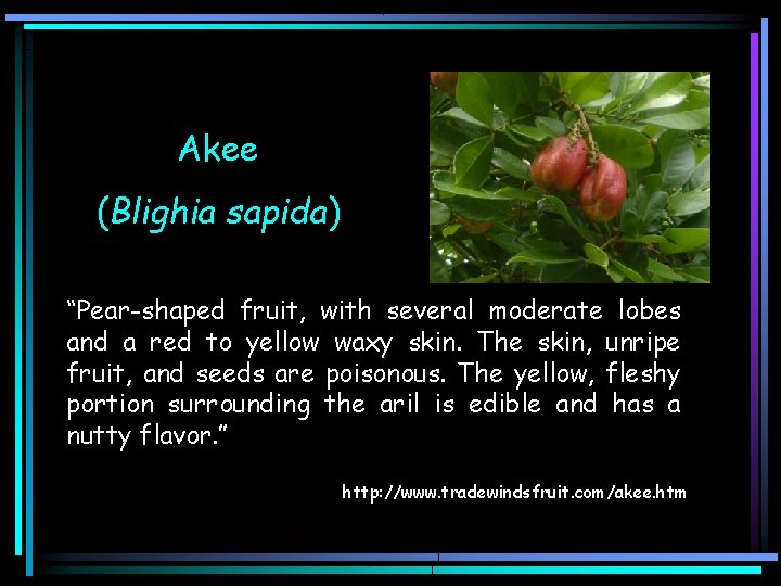 Akee (Blighia sapida) “Pear-shaped fruit, with several moderate lobes and a red to yellow