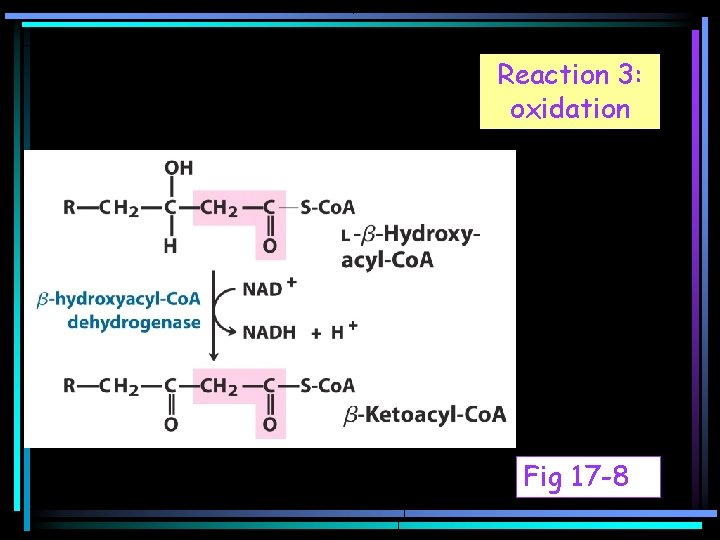 Reaction 3: oxidation Fig 17 -8 