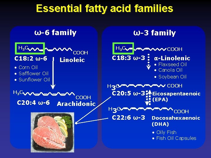Essential fatty acid families ω-3 family ω-6 family H 3 C C 18: 2