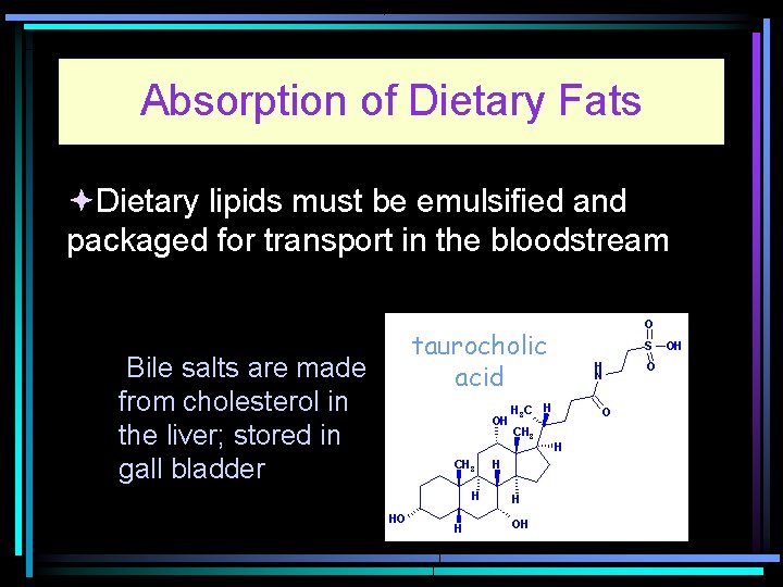 Absorption of Dietary Fats Dietary lipids must be emulsified and packaged for transport in