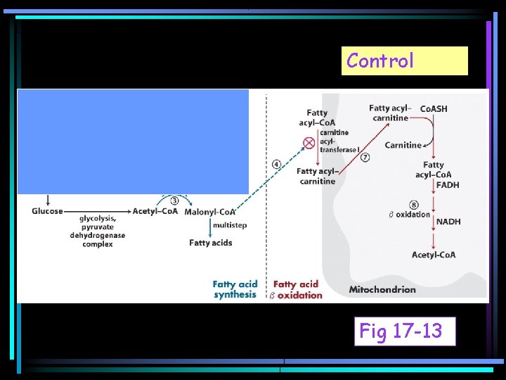 Control Fig 17 -13 