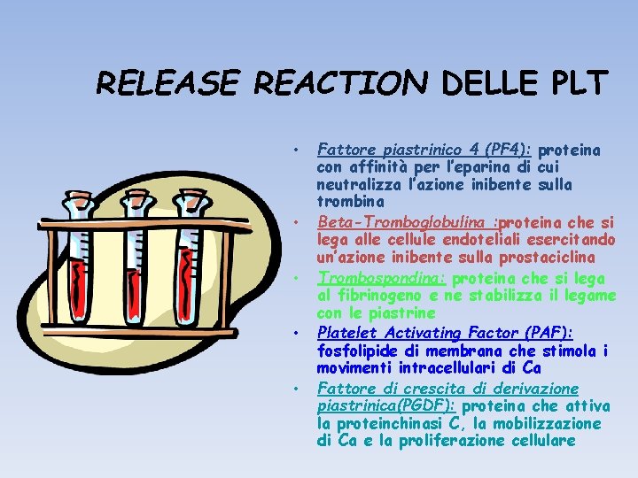 RELEASE REACTION DELLE PLT • • • Fattore piastrinico 4 (PF 4): proteina con