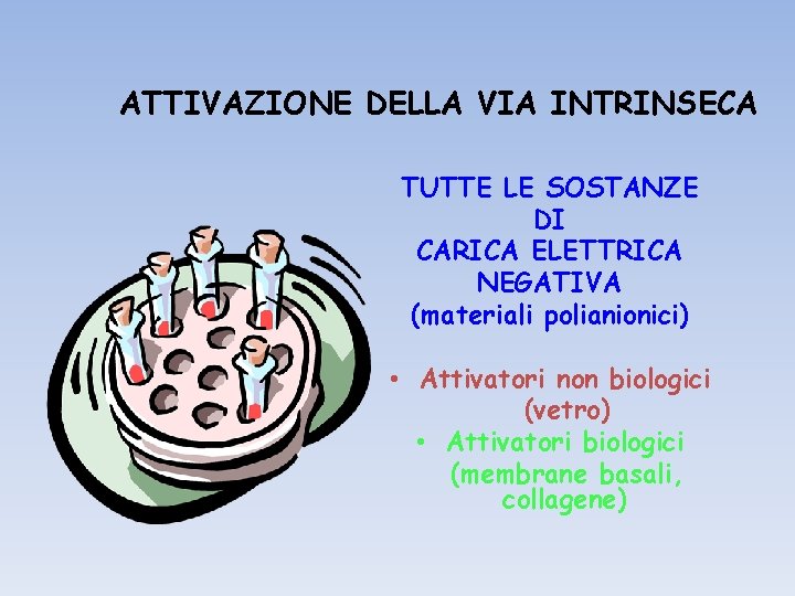 ATTIVAZIONE DELLA VIA INTRINSECA TUTTE LE SOSTANZE DI CARICA ELETTRICA NEGATIVA (materiali polianionici) •