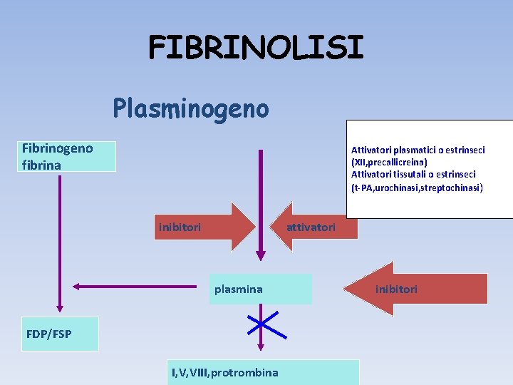 FIBRINOLISI Plasminogeno Fibrinogeno fibrina Attivatori plasmatici o estrinseci (XII, precallicreina) Attivatori tissutali o estrinseci