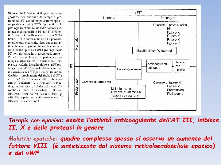 Terapia con eparina: esalta l’attività anticoagulante dell’AT III, inibisce II, X e delle proteasi