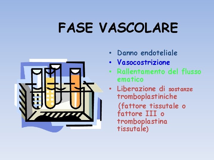 FASE VASCOLARE • Danno endoteliale • Vasocostrizione • Rallentamento del flusso ematico • Liberazione