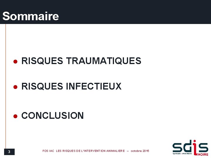 Sommaire 3 l RISQUES TRAUMATIQUES l RISQUES INFECTIEUX l CONCLUSION FOS IAC LES RISQUES