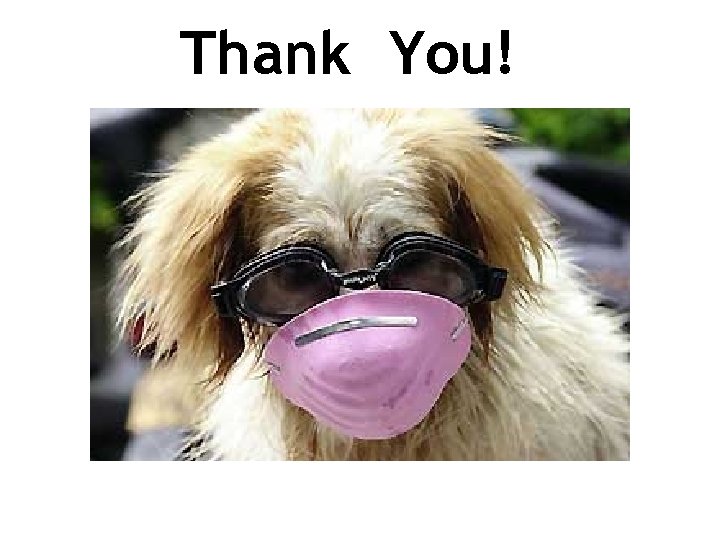 Thank You! Thank You!