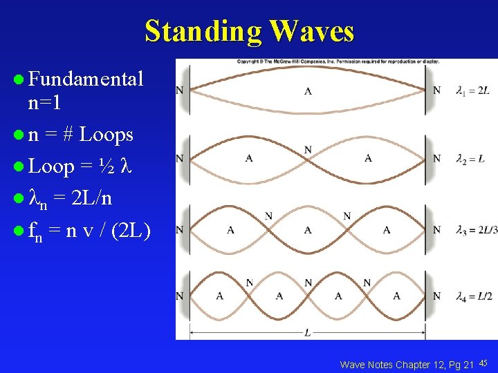 Standing Waves l Fundamental n=1 l n = # Loops l Loop = ½