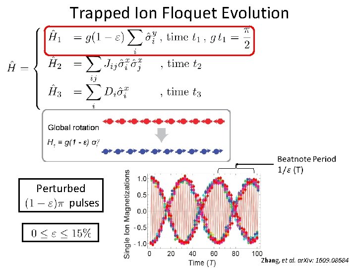 Trapped Ion Floquet Evolution Perturbed pulses Zhang, et al. ar. Xiv: 1609. 08684 
