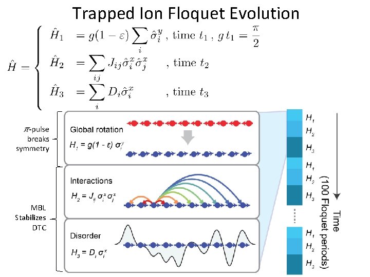 Trapped Ion Floquet Evolution MBL Stabilizes DTC 