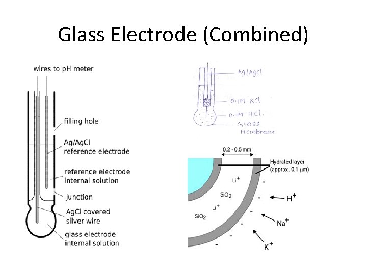 Glass Electrode (Combined) 