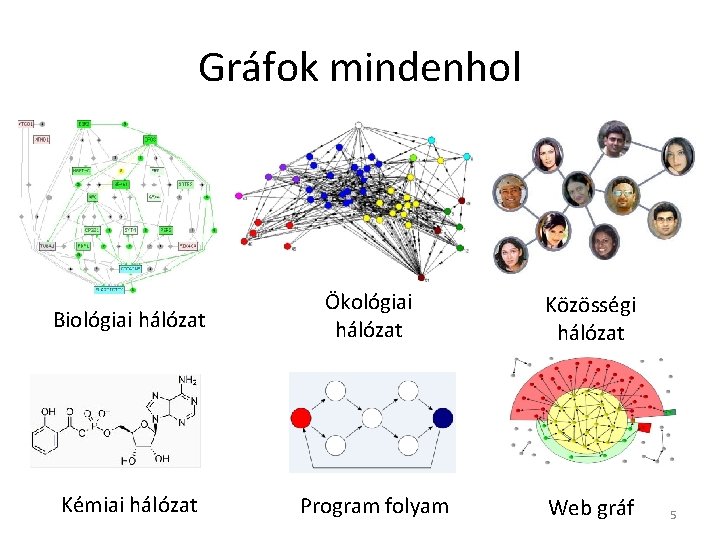 Gráfok mindenhol Biológiai hálózat Ökológiai hálózat Közösségi hálózat Kémiai hálózat Program folyam Web gráf