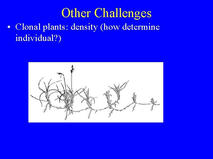 Other Challenges • Clonal plants: density (how determine individual? ) 