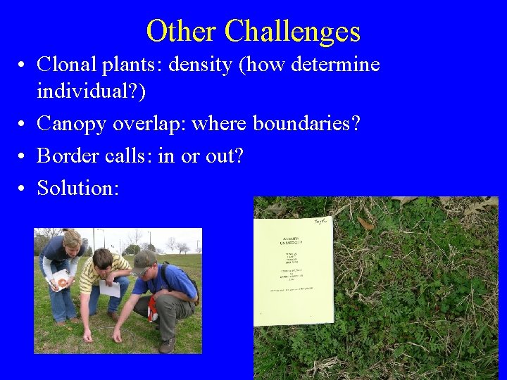 Other Challenges • Clonal plants: density (how determine individual? ) • Canopy overlap: where