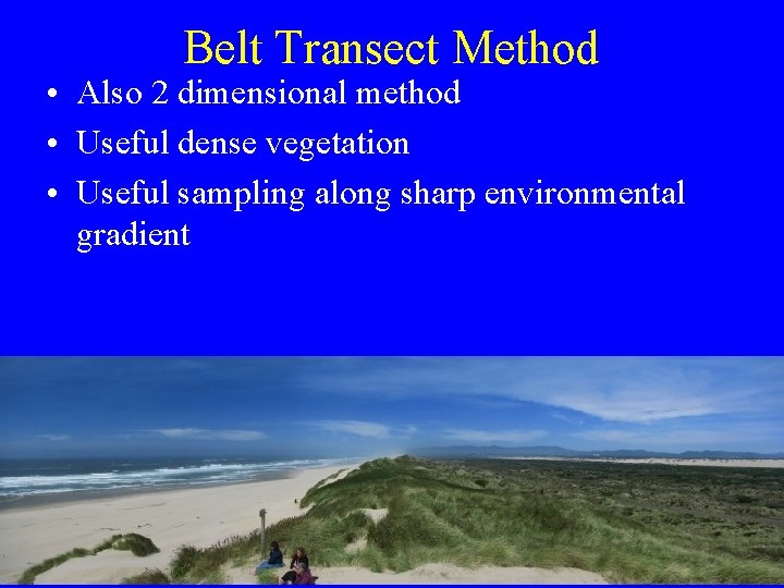 Belt Transect Method • Also 2 dimensional method • Useful dense vegetation • Useful