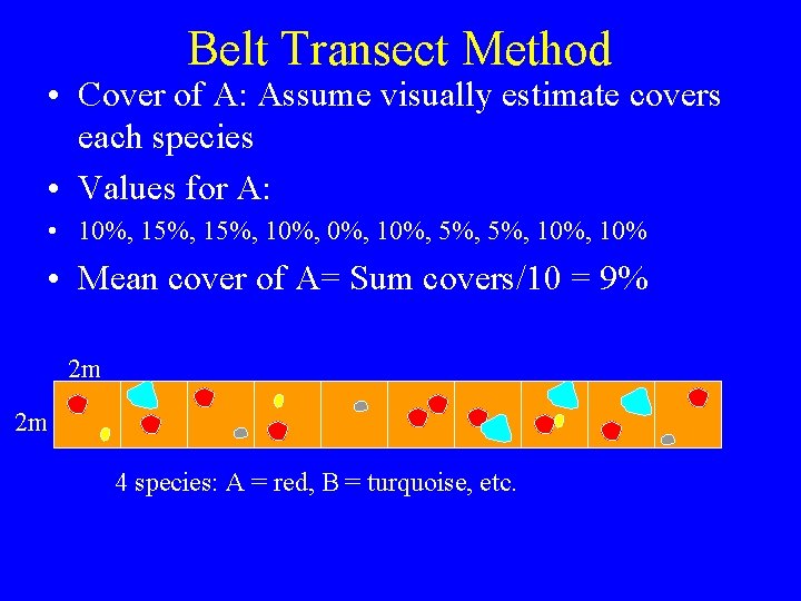 Belt Transect Method • Cover of A: Assume visually estimate covers each species •