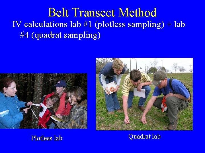 Belt Transect Method IV calculations lab #1 (plotless sampling) + lab #4 (quadrat sampling)