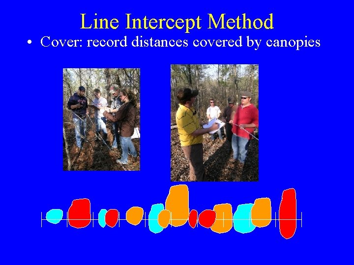 Line Intercept Method • Cover: record distances covered by canopies 