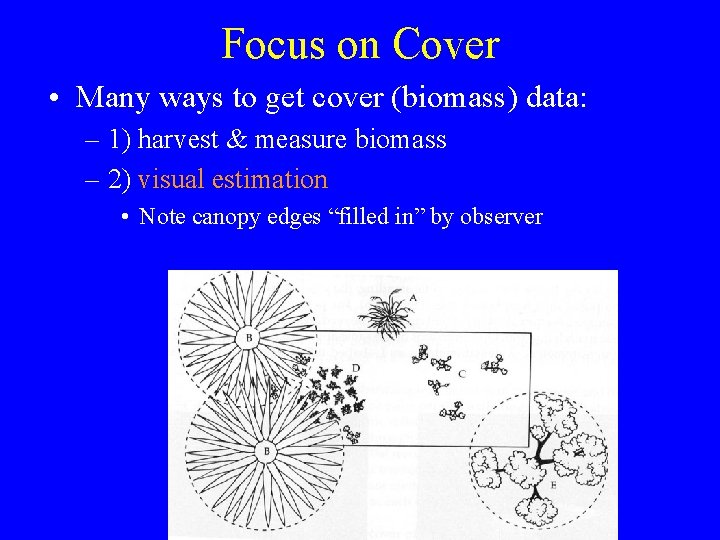 Focus on Cover • Many ways to get cover (biomass) data: – 1) harvest