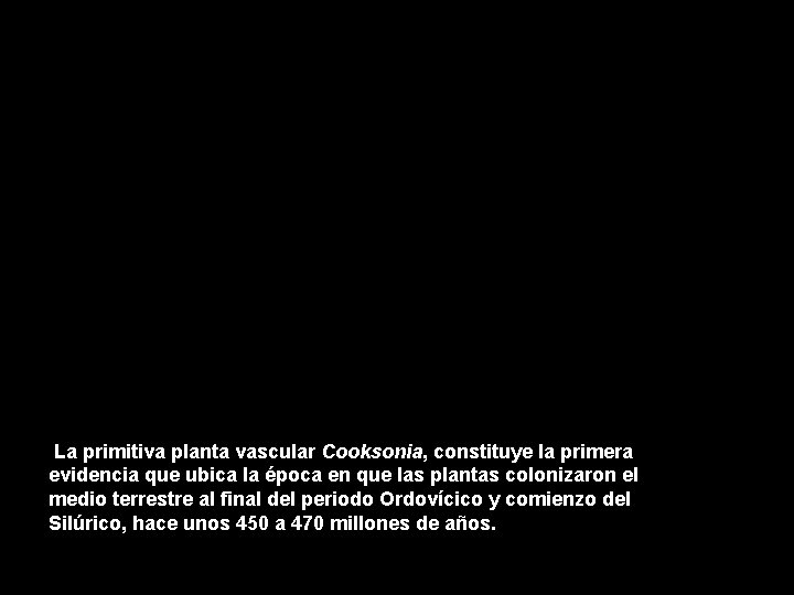 ¿CUANTAS ESPECIES HAY La primitiva planta vascular Cooksonia, constituye la primera evidencia que ubica