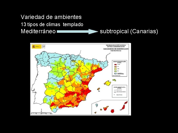  Variedad de ambientes 13 tipos de climas templado Mediterráneo subtropical (Canarias) ¿CUANTAS ESPECIES