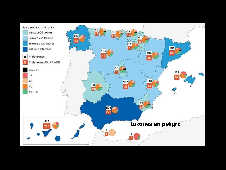 ¿CUANTAS ESPECIES HAY táxones en peligro 