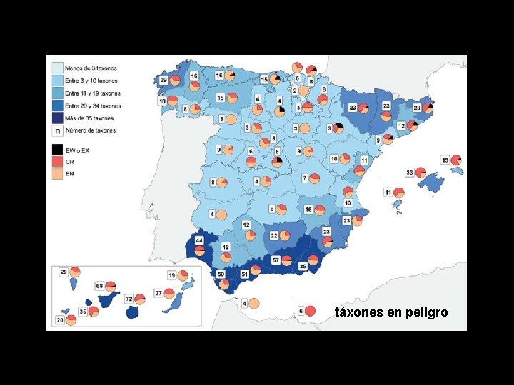 ¿CUANTAS ESPECIES HAY táxones en peligro 